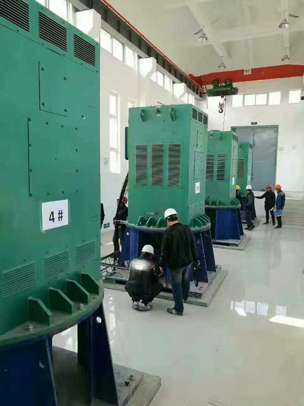 渭滨某污水处理厂使用我厂的立式高压电机安装现场